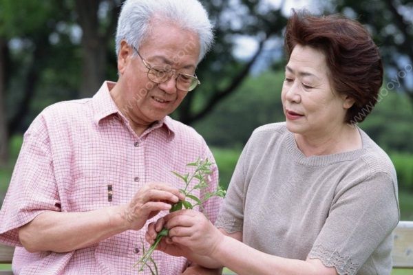 孫子牽95歲奶奶散步，老年人春天適合哪些運(yùn)動(dòng)？(4)