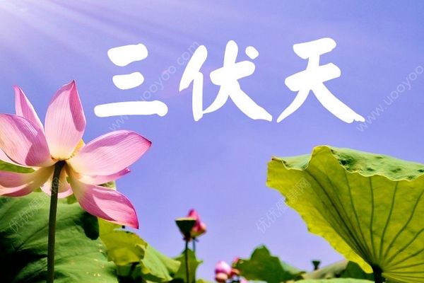 今日入伏長(zhǎng)達(dá)40天！三伏天如何養(yǎng)生？(1)