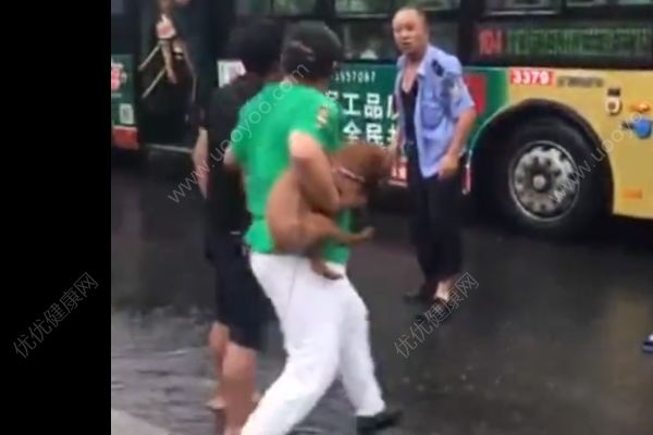 抱狗乘公交車遭拒，男子與司機雨中斗毆(2)