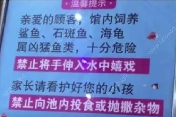 女童被商場鯊魚咬傷致手部骨折，母親：它突然跳起(4)