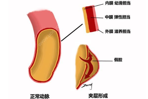 深圳52歲女子突發(fā)腹痛求醫(yī)，7小時打兩針醫(yī)院身亡(2)