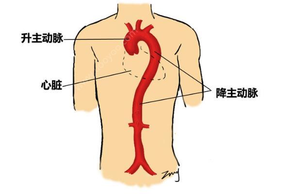 深圳52歲女子突發(fā)腹痛求醫(yī)，7小時打兩針醫(yī)院身亡(3)