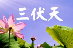 今日入伏長(zhǎng)達(dá)40天！三伏天如何養(yǎng)生？[多圖]