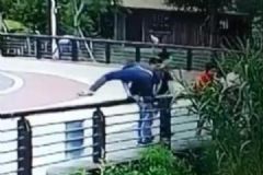 男子逛動物園順手掏走8顆鳥蛋，涉嫌盜獵被警方行拘[多圖]