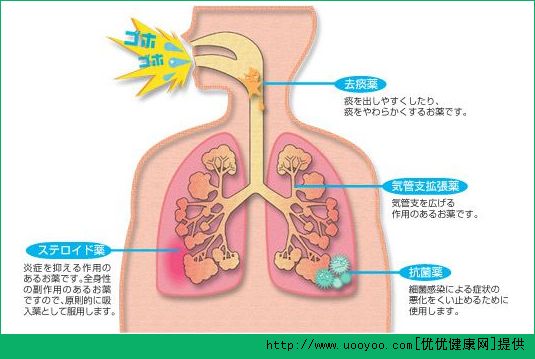 長跑有什么好處？長跑對身體的好處有哪些？(2)