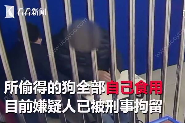 男子為吃狗肉，當(dāng)街飛車搶走萬元名犬(4)