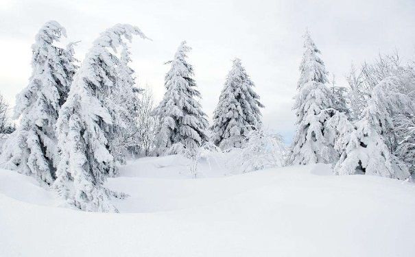 全國(guó)多地下雪，白雪皚皚，雪可以直接吃嗎？(2)