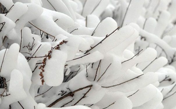 全國(guó)多地下雪，白雪皚皚，雪可以直接吃嗎？(3)