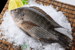 羅非魚的營養(yǎng)價(jià)值有什么？羅非魚的食用方法有什么？[圖]