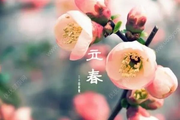 立春為什么要吃春卷？立春節(jié)氣有什么習(xí)俗？(1)