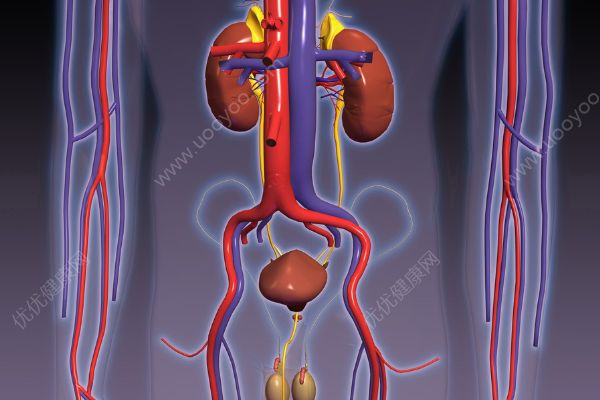 健康長壽保護(hù)胃腸道是關(guān)鍵！避免胃腸道老化的四種方法(2)