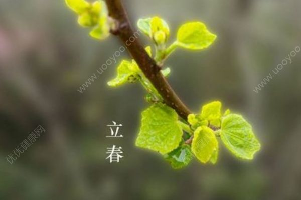 立春養(yǎng)生攻略有哪些？立春養(yǎng)肝有哪些方法？(1)