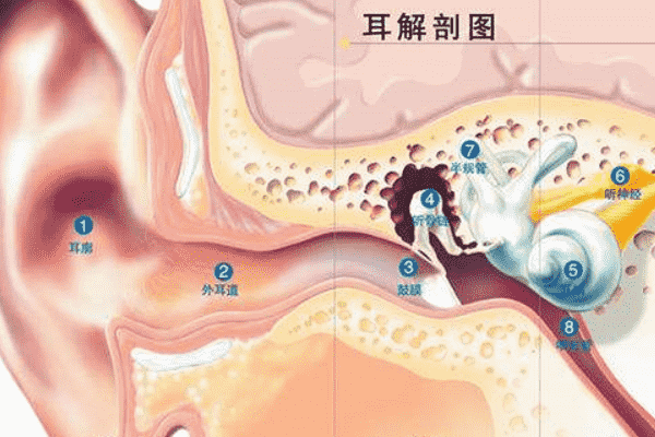 經(jīng)常挖耳屎影響很大！一招解決耳屎煩惱(1)