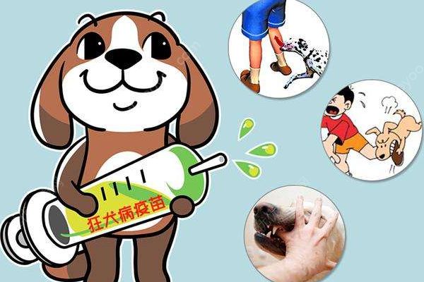 小男孩感染狂犬病“學(xué)狗叫”？警方：系謠言(4)