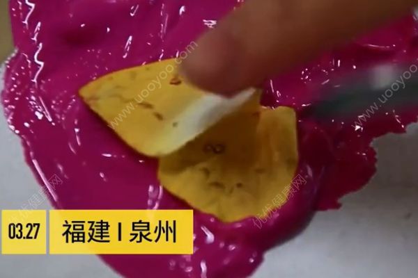 用活蝴蝶做畢業(yè)設(shè)計！是藝術(shù)還是殘忍？(1)