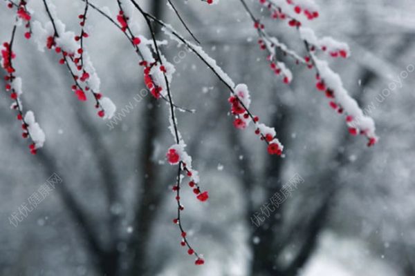 北京發(fā)布暴雪預(yù)警，30年來首次四月飛雪(4)