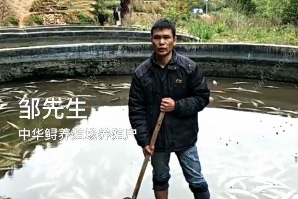 萬(wàn)條中華鱘一夜死亡！警方初定系遭人投毒！(2)