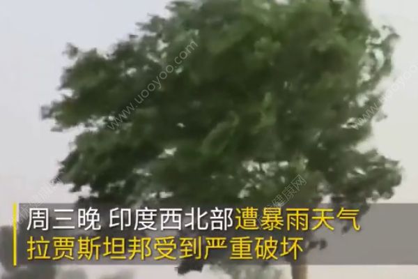 印度暴雨泰姬陵遭嚴(yán)重毀壞！已造成至少12人死亡！(1)