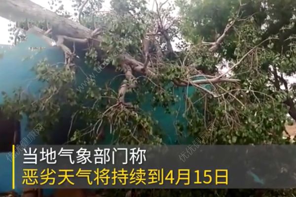 印度暴雨泰姬陵遭嚴(yán)重毀壞！已造成至少12人死亡！(4)