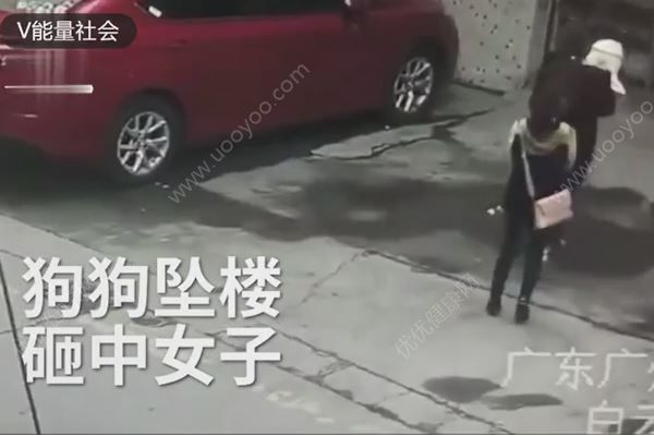 高空墜狗路過女子被砸傷，結(jié)果狗卻活著，如何防止高空拋物？(1)