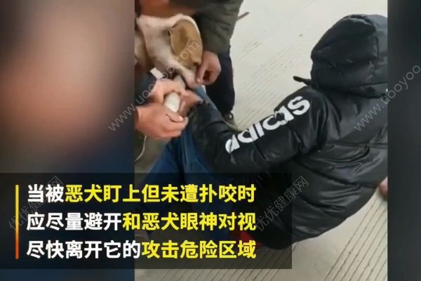 惡犬撲咬無(wú)路逃！下一步你該咋辦？(1)