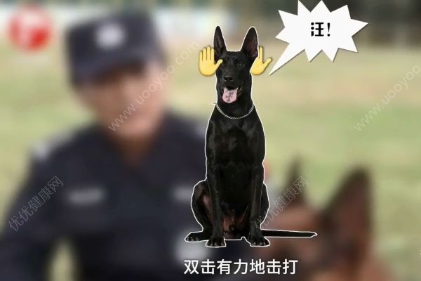 惡犬撲咬無(wú)路逃！下一步你該咋辦？(2)