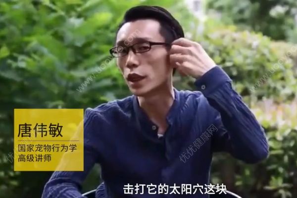 惡犬撲咬無(wú)路逃！下一步你該咋辦？(3)