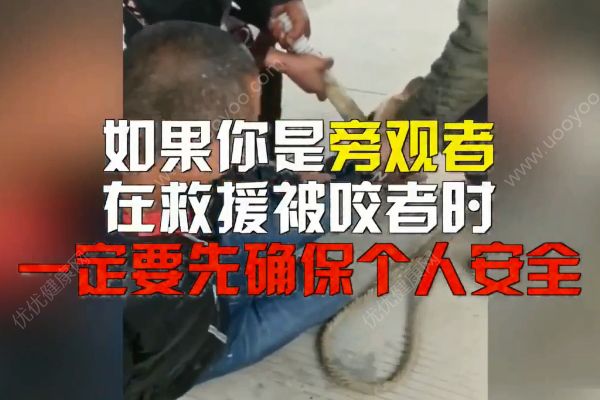 惡犬撲咬無(wú)路逃！下一步你該咋辦？(4)