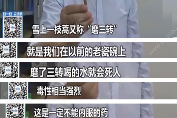 重慶“飲自配藥酒中毒事件”原因查明，藥酒內(nèi)含劇毒中藥！(4)