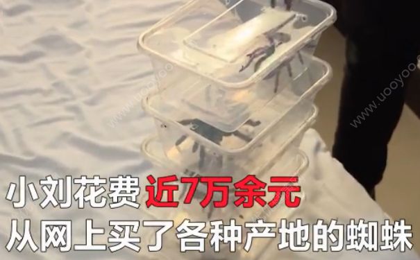 電熱毯燒死寵物 如何防止電熱毯短路？(1)