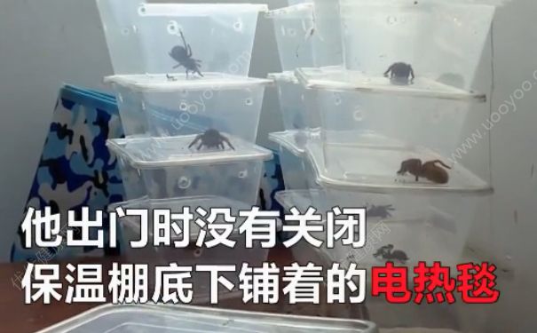 電熱毯燒死寵物 如何防止電熱毯短路？(3)