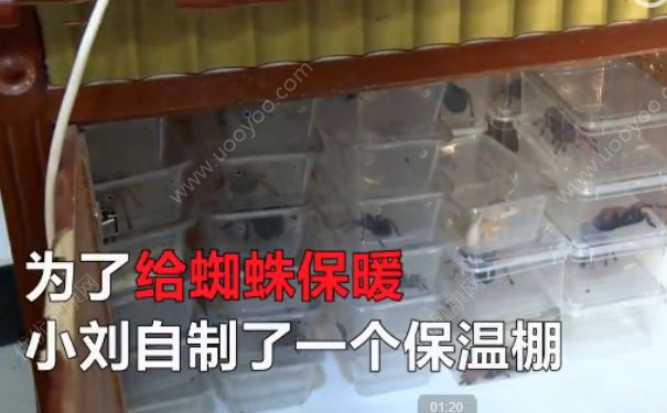 電熱毯燒死寵物 如何防止電熱毯短路？(4)