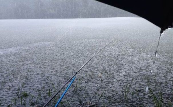 下雨天有魚釣嗎？夏季大雨天釣魚好嗎？(1)