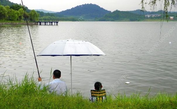 下雨天有魚釣嗎？夏季大雨天釣魚好嗎？(2)