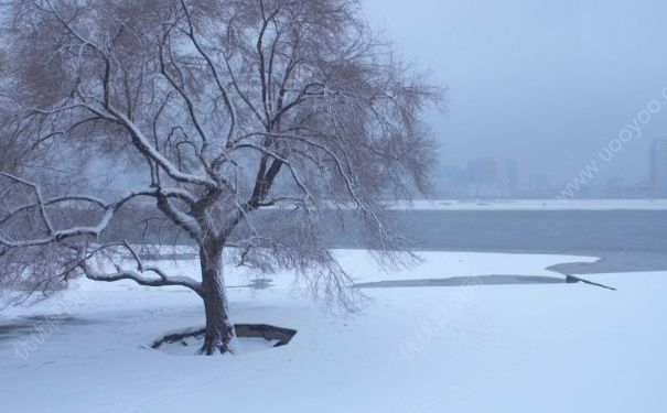 今年冬天會很冷嗎？冬天很冷怎么度過？(3)