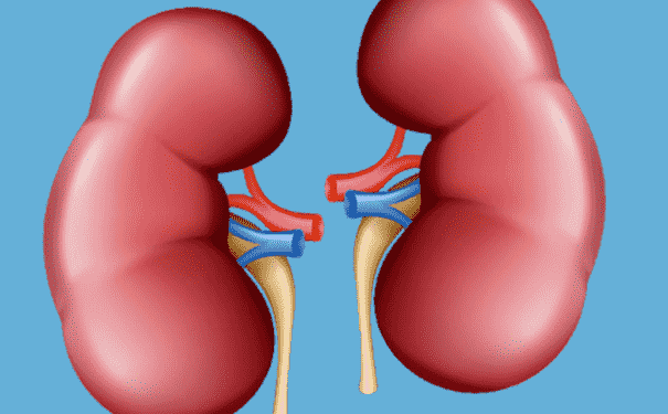 如何判斷腎好不好？腎病的信號(hào)是什么？(1)