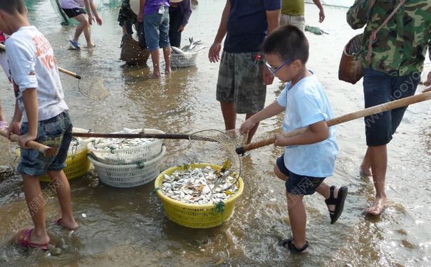 洪水里的魚能吃嗎？洪水里的魚可不可以吃？(2)