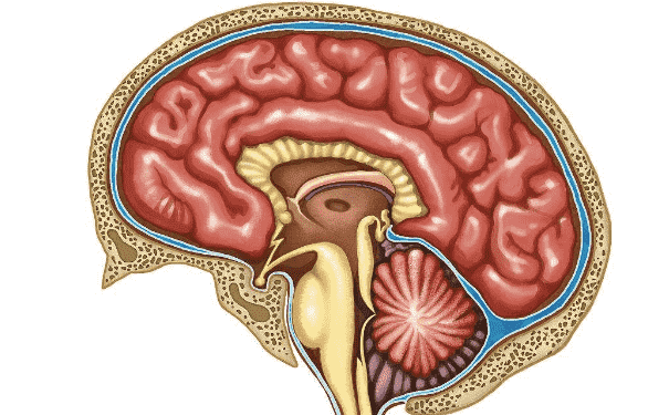 大腦發(fā)育不良要怎么治療？怎么有效的治療大腦發(fā)育不良？(1)