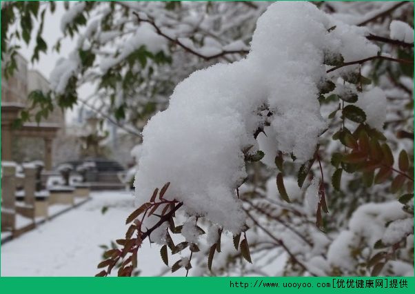 大雪節(jié)氣 記得防寒保暖和養(yǎng)生(1)