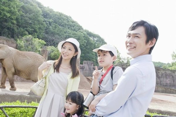 男孩動(dòng)物園內(nèi)被孔雀啄出血，帶孩子去動(dòng)物園要注意什么？(3)