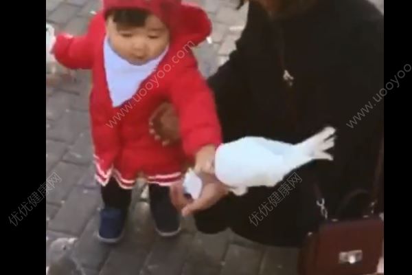 一歲女孩從鴿子嘴里搶食，直接搶鴿食往自己嘴里塞(1)