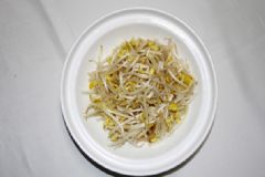 豆芽是酸性還是堿性？豆芽是堿性食物嗎？[多圖]