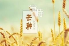 芒種時(shí)節(jié)怎樣養(yǎng)生保??？芒種期間養(yǎng)生要點(diǎn)[圖]