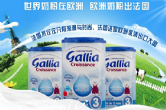 法國Gallia奶粉好不好？法國Gallia奶粉怎么樣？[圖]