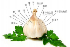 生吃大蔥有什么好處？生吃大蔥的好處[圖]