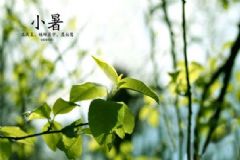 小暑起居養(yǎng)生有哪些注意事項？小暑起居養(yǎng)生常識[圖]