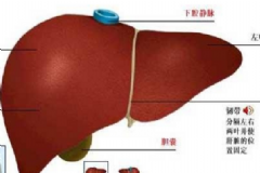 肝功能異常怎么調(diào)理？肝功能異常能治好嗎？[圖]