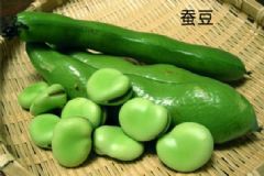 豌豆和蠶豆一樣嗎？蠶豆和豌豆的區(qū)別[多圖]