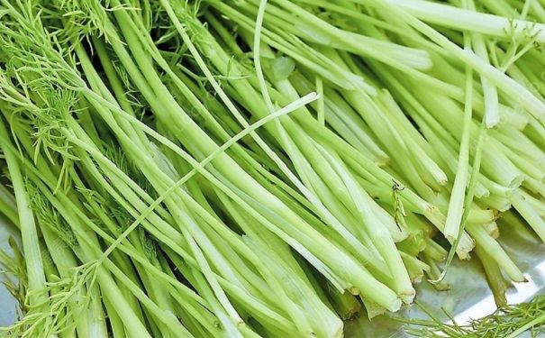 芹菜對(duì)身體有什么好處？吃芹菜對(duì)健康有何好處？(3)