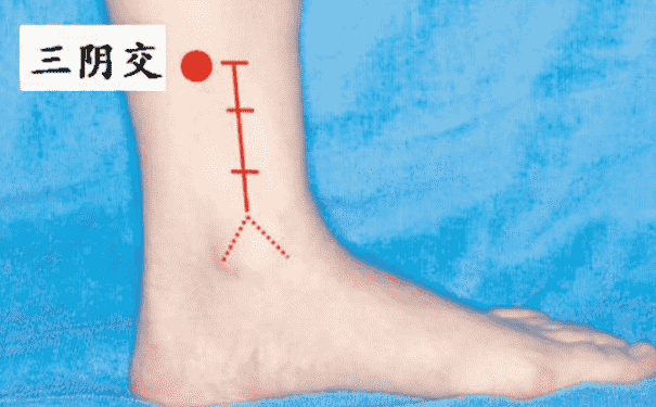 三陰交穴位在身體哪個(gè)部位？女性按摩三陰交有什么好處？(1)